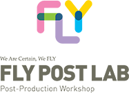 fly post lab